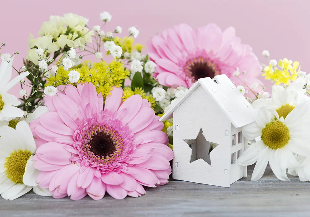 Read more about the article Trend colors for interior painting in Spring 2025